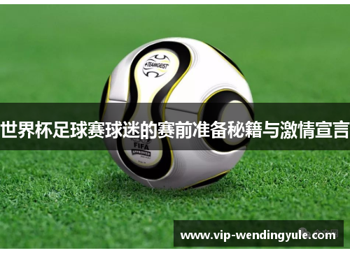 世界杯足球赛球迷的赛前准备秘籍与激情宣言