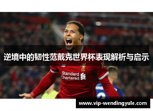 逆境中的韧性范戴克世界杯表现解析与启示