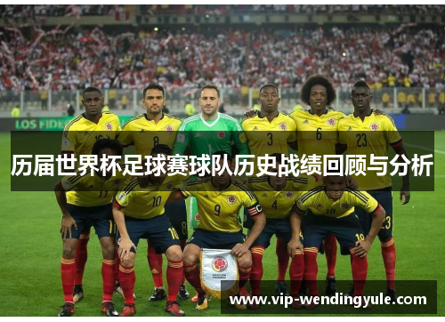 历届世界杯足球赛球队历史战绩回顾与分析