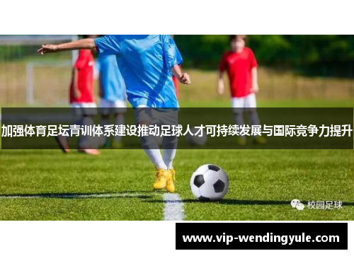 加强体育足坛青训体系建设推动足球人才可持续发展与国际竞争力提升 加强体育足坛青训体系建设推动足球人才可持续发展与国际竞争力提升
