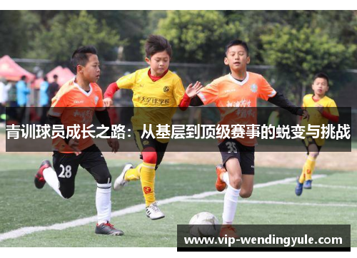 青训球员成长之路:从基层到顶级赛事的蜕变与挑战 青训球员成长之路:从基层到顶级赛事的蜕变与挑战