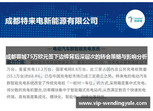 成都蓉城75万欧元签下边锋背后深层次的转会策略与影响分析