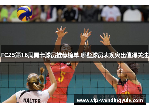 FC25第16周黑卡球员推荐榜单 哪些球员表现突出值得关注 FC25第16周黑卡球员推荐榜单 哪些球员表现突出值得关注