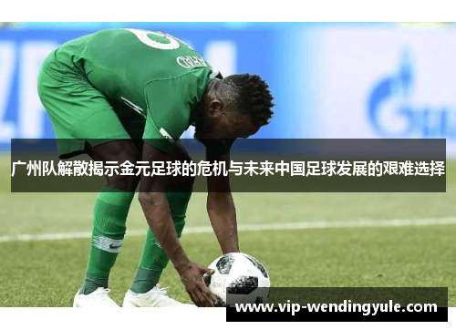 广州队解散揭示金元足球的危机与未来中国足球发展的艰难选择