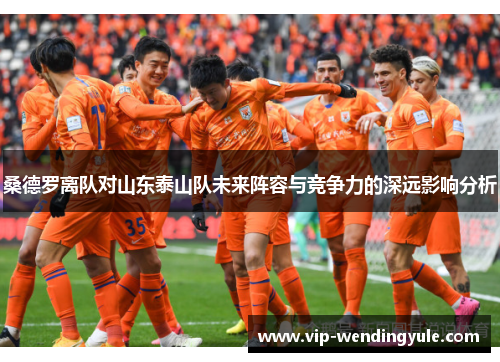 桑德罗离队对山东泰山队未来阵容与竞争力的深远影响分析