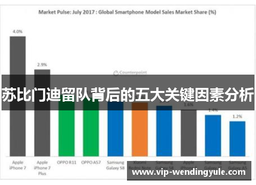 苏比门迪留队背后的五大关键因素分析 苏比门迪留队背后的五大关键因素分析