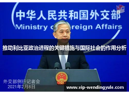 推动利比亚政治进程的关键措施与国际社会的作用分析