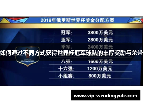 如何通过不同方式获得世界杯冠军球队的丰厚奖励与荣誉