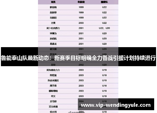 鲁能泰山队最新动态：新赛季目标明确全力备战引援计划持续进行