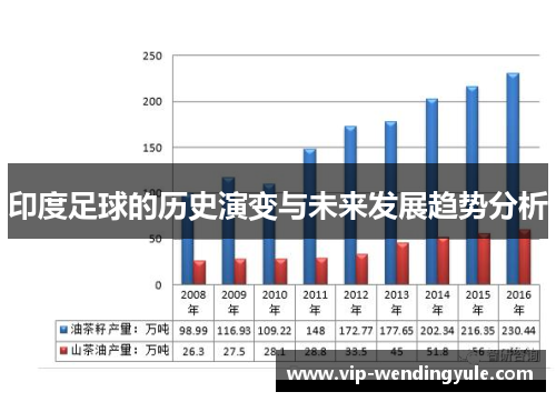 印度足球的历史演变与未来发展趋势分析