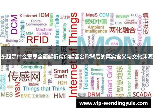 东超是什么意思全面解析帮你解答名称背后的真实含义与文化渊源