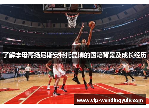 了解字母哥扬尼斯安特托昆博的国籍背景及成长经历