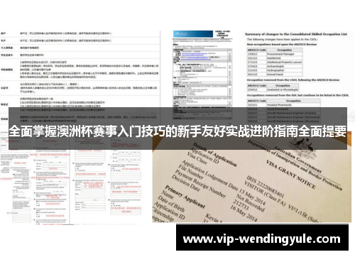 全面掌握澳洲杯赛事入门技巧的新手友好实战进阶指南全面提要