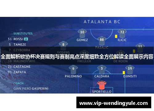 全面解析欧协杯决赛规则与赛制亮点深度细致全方位解读全面展示内容